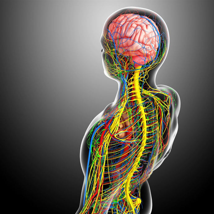 Restless Legs: Weighted Blanket Therapy To Help You Sleep Better